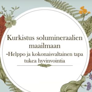 Kurkistus solumineraalien maailmaan – Nina Wikström (Kopio)